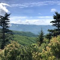 Student Blog: Mary's Summer Specials