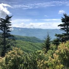 Student Blog: Mary's Summer Specials