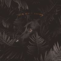 Old Salt Union Shares Third Song Off of New Album Video