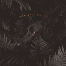 Old Salt Union Shares Third Song Off of New Album
