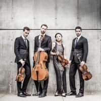 Tesla Quartet to Return To Lot Of Strings Festival in June Interview