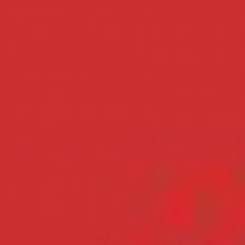 Carnivale Brings Cabaret Dining to The West Loop with COPA CARNIVALE Beginning Octobe