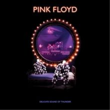 Pink Floyd's 'Delicate Sound of Thunder' Restored & Remixed Released Nov. 20