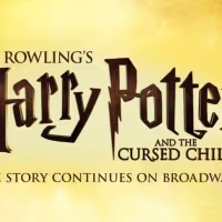 James Snyder's Contract Terminated at CURSED CHILD Following Misconduct Investigation