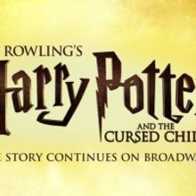 James Snyder's Contract Terminated at CURSED CHILD Following Misconduct Investigation