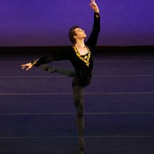 Danse Lumière to Showcase THE JAMES JOYCE BALLET Before International Tour