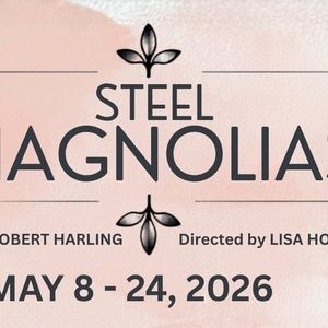 Review: STEEL MAGNOLIAS at Theatre 29