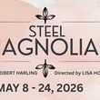Review: STEEL MAGNOLIAS at Theatre 29 Photo