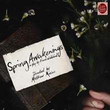 Full Cast Set For SPRING AWAKENINGS At Lazy Susan Theatre Co.