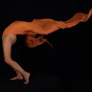 Georgia O'Keeffe-Inspired THE ALCHEMIST'S VEIL to Premiere At La MaMa