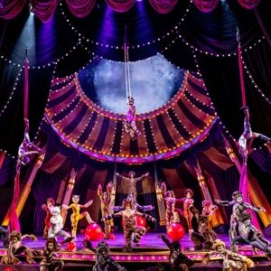 Review: CATS at Paramount Theatre Aurora, IL