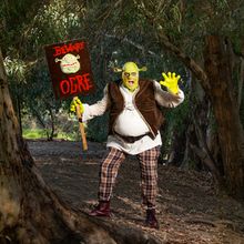 SHREK THE MUSICAL To Open At Fresno Memorial Auditorium In December