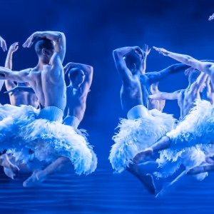 El Teatro Real acoge en noviembre de 2025 la versión de Matthew Bourne de EL LAGO DE…