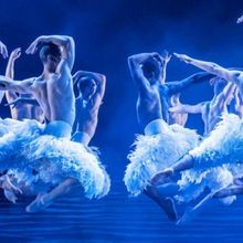 El Teatro Real acoge en noviembre de 2025 la versión de Matthew Bourne de EL LAGO DE