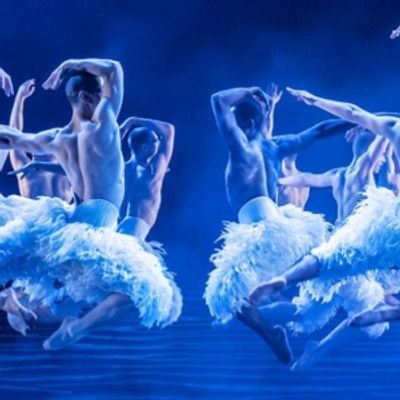 El Teatro Real acoge en noviembre de 2025 la versi&oacute;n de Matthew Bourne de EL LAGO DE LOS CISNES