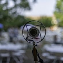 Elm Street Plans Night of Musical Theatre Under the Stars