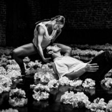 ODC/Dance Presents DRINKS & A DANCE, August 19