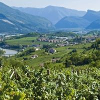 Discover TRENTODOC Classic Sparkling Wines from Italy