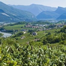 Discover TRENTODOC  Classic Sparkling Wines from Italy