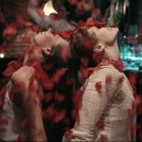 BWW Review: AVIVA - DANCE FILM at Virtual Theatrical Premier