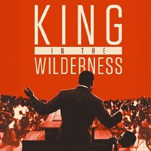 Free Screening of KING IN THE WILDERNESS to be Presented at Westport Country…