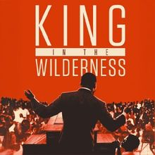 Free Screening of KING IN THE WILDERNESS to be Presented at Westport Country Playhous
