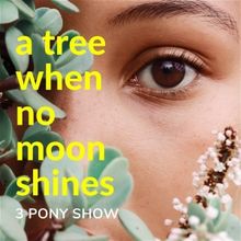 3 Pony Show and The Cannonball Festival Present A TREE WHERE NO MOON SHINES
