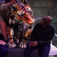 Video: Go Behind LIFE OF PI's Puppetry on THE TODAY SHOW Video