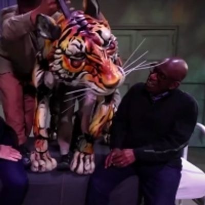 Video: Go Behind LIFE OF PI's Puppetry on THE TODAY SHOW