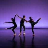Cherylyn Lavagnino Dance Returns This Month