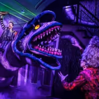 BWW Blog: Top 12 Spooky Szn Musical Numbers