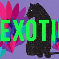 Purple Disco Machine Releases New Single 'Exotica'
