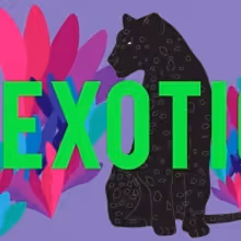 Purple Disco Machine Releases New Single 'Exotica'