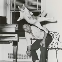 New NYPL Photo Exhibition Will Spotlight Animal Muses of Broadway and Beyond
