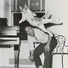 New NYPL Photo Exhibition Will Spotlight Animal Muses of Broadway and Beyond