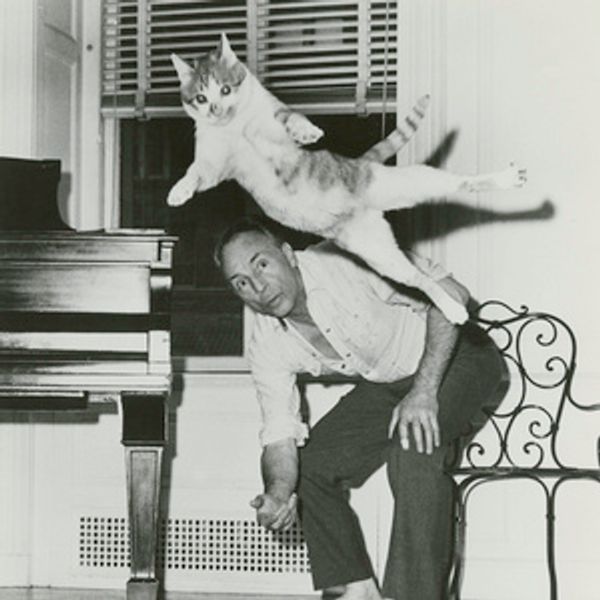 New NYPL Photo Exhibition Will Spotlight Animal Muses of Broadway and Beyond Photo