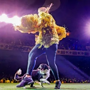 THE CANINE STARS Will Perform At The Grand In Wilmington