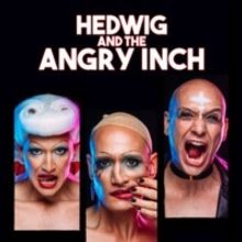 Review: HEDWIG AND THE ANGRY INCH at DAS VINDOBONA