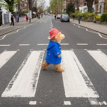 PADDINGTON THE MUSICAL Will Release Original Cast Recording This Month