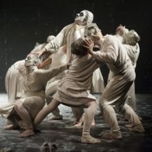 BWW Review: Naia Productions And La Compagnie Maguy Marin Present M at Virtual