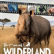 Wilderland Wildlife Film Festival Returns to UK and Ireland in Spring 2020
