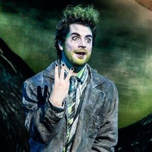 Meet the Cast of BEETLEJUICE, Now Playing on Broadway!