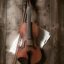 Quartet 131 To Play Works by Schubert & Bloch At Merkin Hall