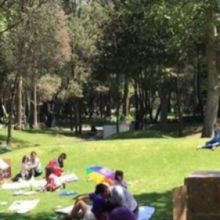 Con La Narración Oral Leonora Carrington: Invención Del Mundo Las Infancias Podrán