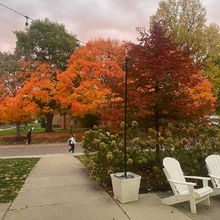 Student Blog: 5 Things I Am Grateful for in My BFA MT Program