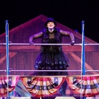 Westport Country Playhouse Will Present CHARLOTTE'S WEB in February