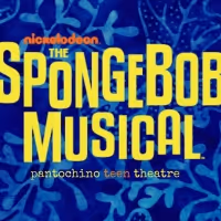 Pantochino Presents THE SPONGEBOB MUSICAL In Fairfield Next Month