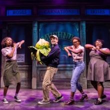 Rob McClure to Miss LITTLE SHOP OF HORRORS Performances After Testing Positive for…