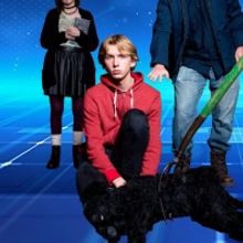 Chicago Street Theatre Presents THE CURIOUS INCIDENT OF THE DOG IN THE NIGHT-TIME