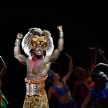 THE LION KING Plays in Hong Kong For The First Time! Here's Your First Look!